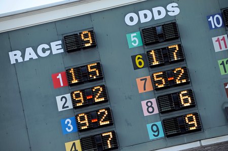 Understanding Sports Betting Odds